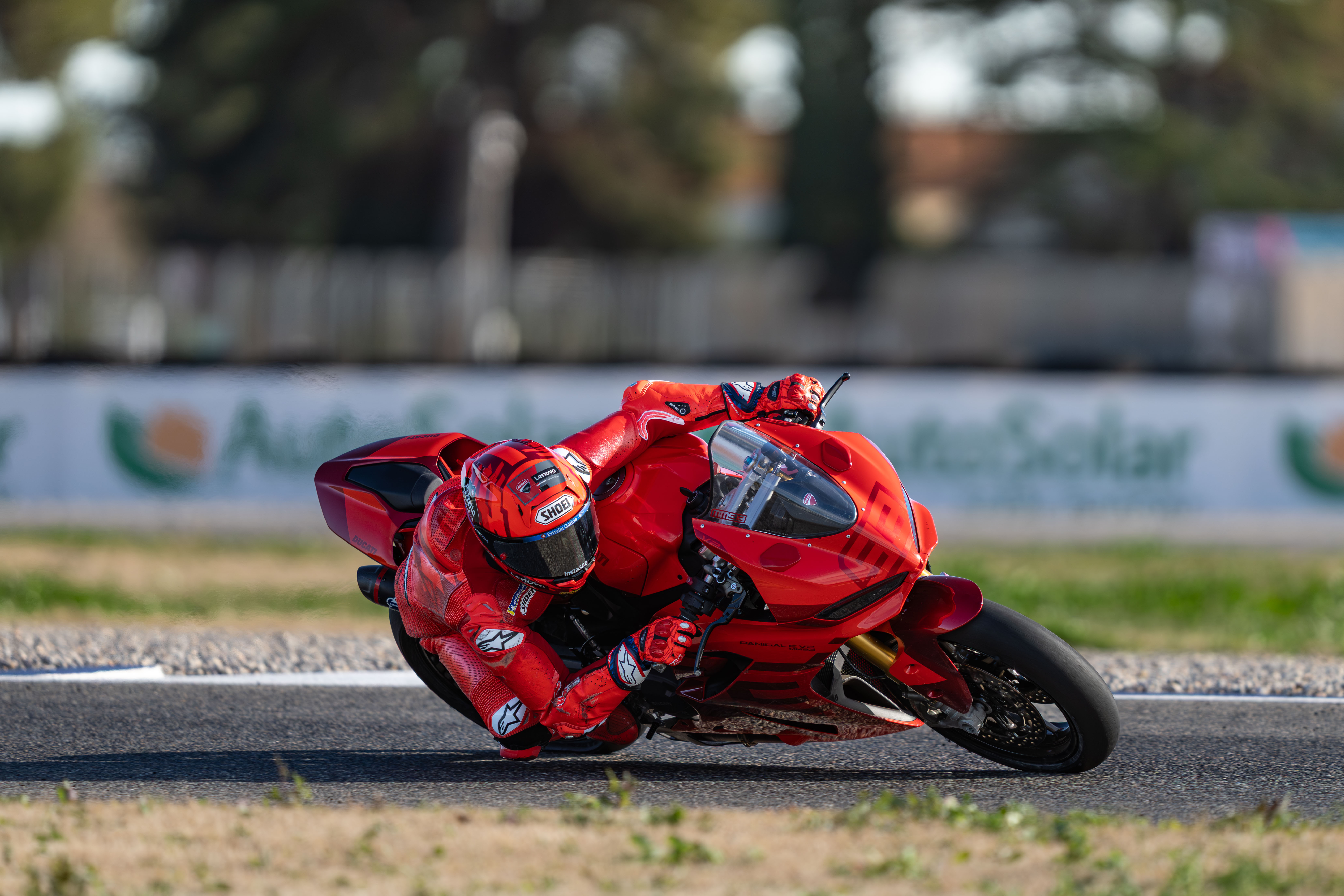 mike4pics circuito